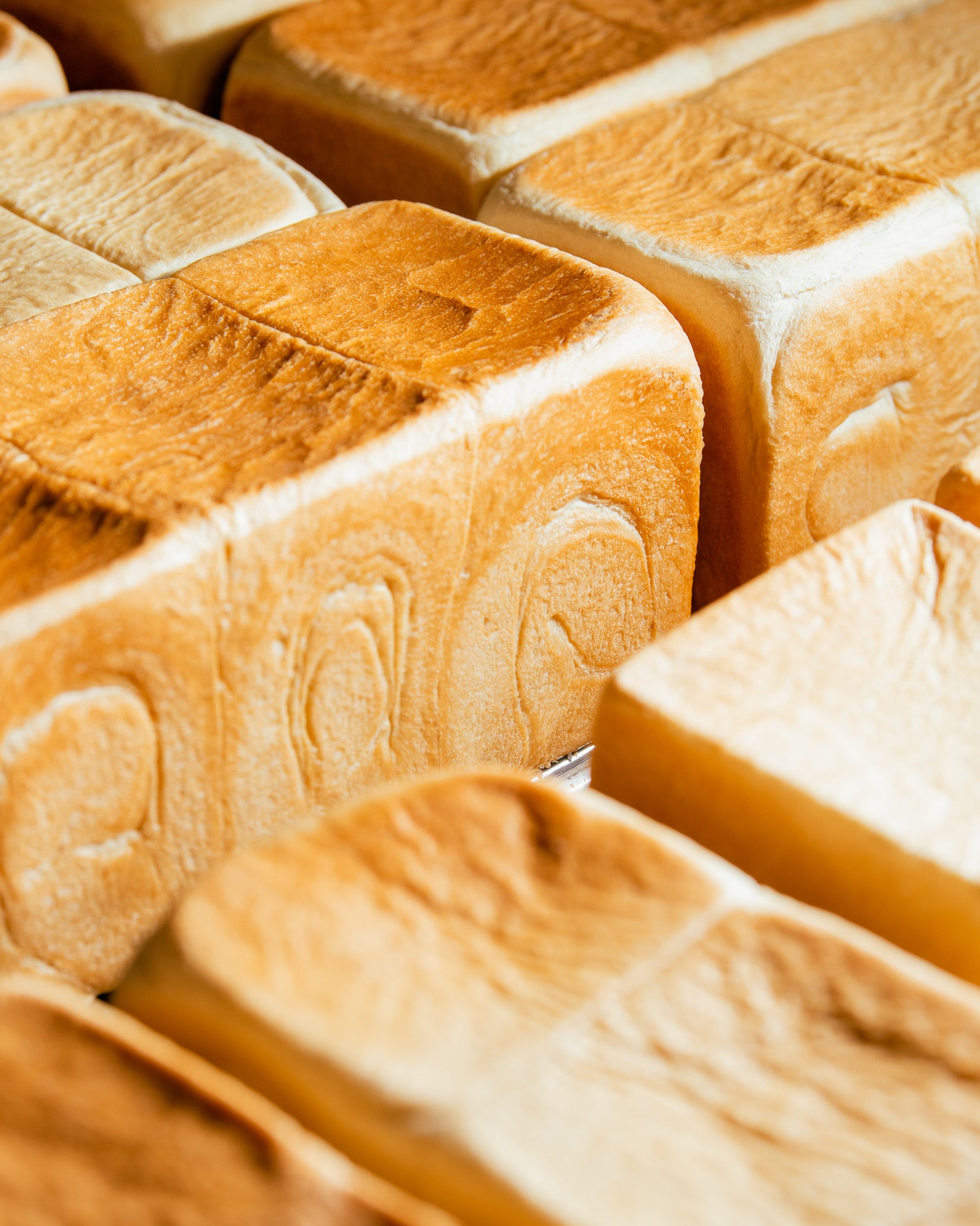 Shokupan Whole Loaf - 11/26 Local Pick-Up Only