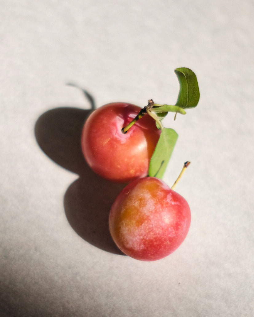 Water Balloon Plum