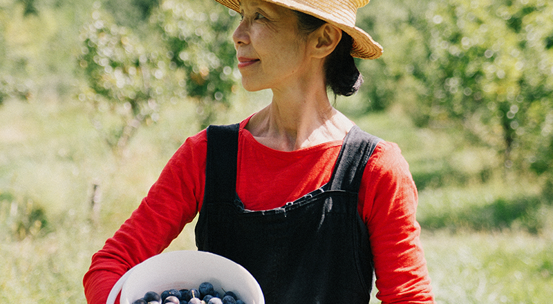 Ayako Plum Jam